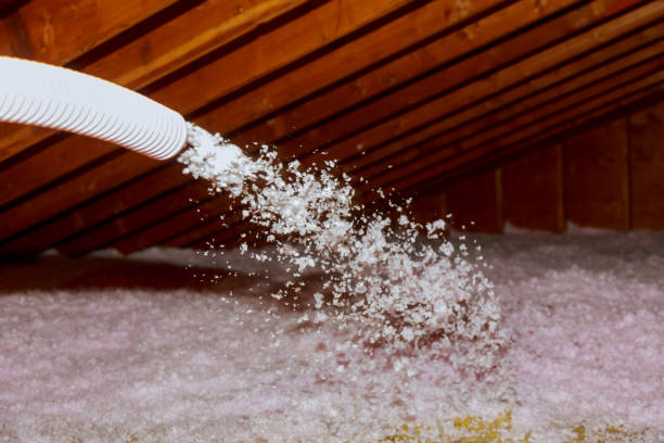 Best Blown-in Insulation in West Livingston, TX