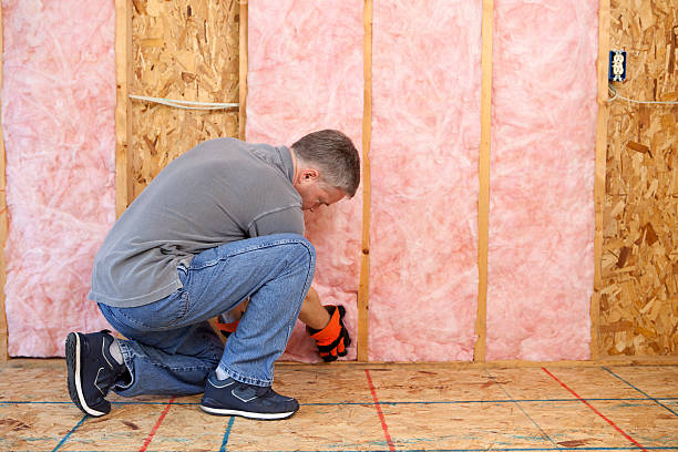 Best Commercial Insulation in West Livingston, TX
