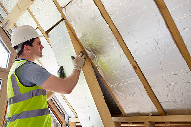 Best DIY Insulation Kits and Guidance in West Livingston, TX