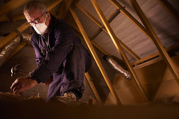 Best Eco-Friendly Insulation in West Livingston, TX