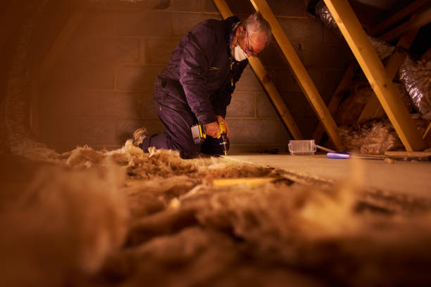 Best Energy Efficiency Insulation in West Livingston, TX