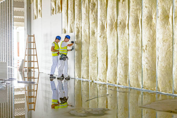Best Fiberglass Insulation in West Livingston, TX